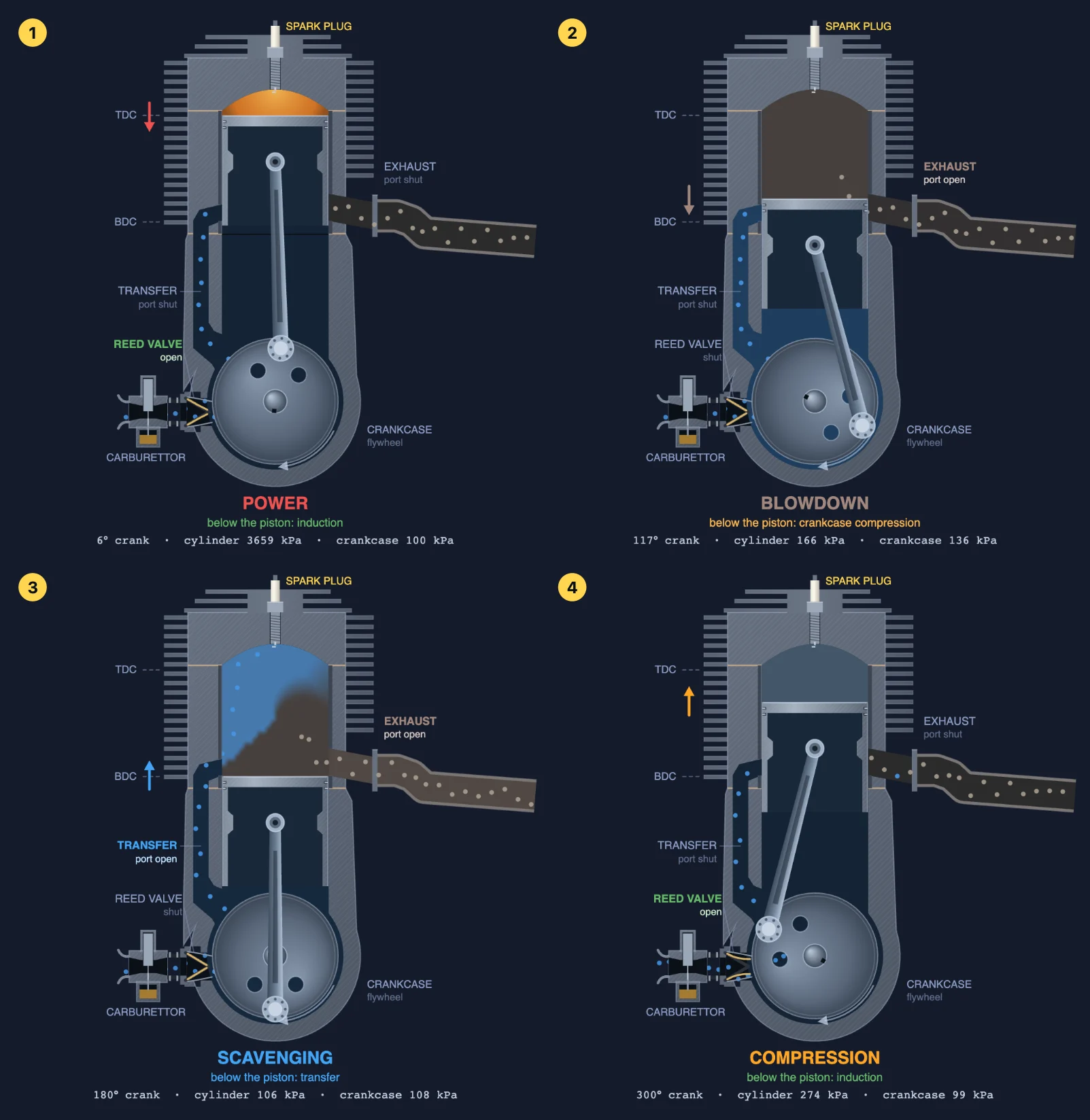 Two-stroke engine working in four stages: 1 power stroke just after TDC with the reed valve open, 2 blowdown with the exhaust port open, 3 scavenging at BDC with fresh charge rising from the transfer port, 4 compression with the crankcase drawing in fresh mixture through the reed valve